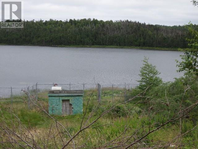 Lot 2 Junction Pond Unit#lot 2, Whitbourne, Newfoundland & Labrador  A0B 3K0 - Photo 2 - 1286604