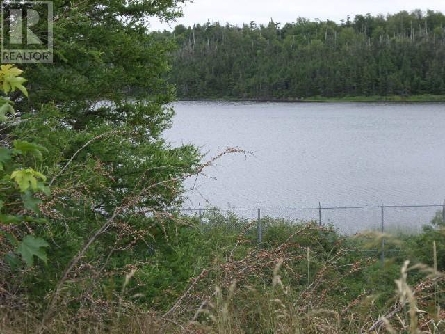 Lot 2 Junction Pond Unit#lot 2, Whitbourne, Newfoundland & Labrador  A0B 3K0 - Photo 3 - 1286604