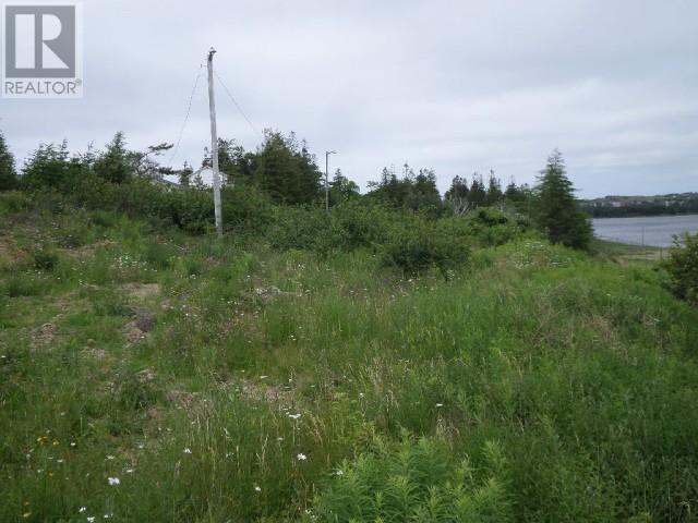 Lot 2 Junction Pond Unit#lot 2, Whitbourne, Newfoundland & Labrador  A0B 3K0 - Photo 5 - 1286604