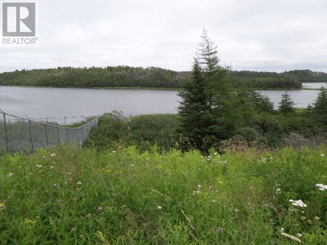Lot 2 Junction Pond Unit#lot 2, Whitbourne, Newfoundland & Labrador  A0B 3K0 - Photo 6 - 1286604