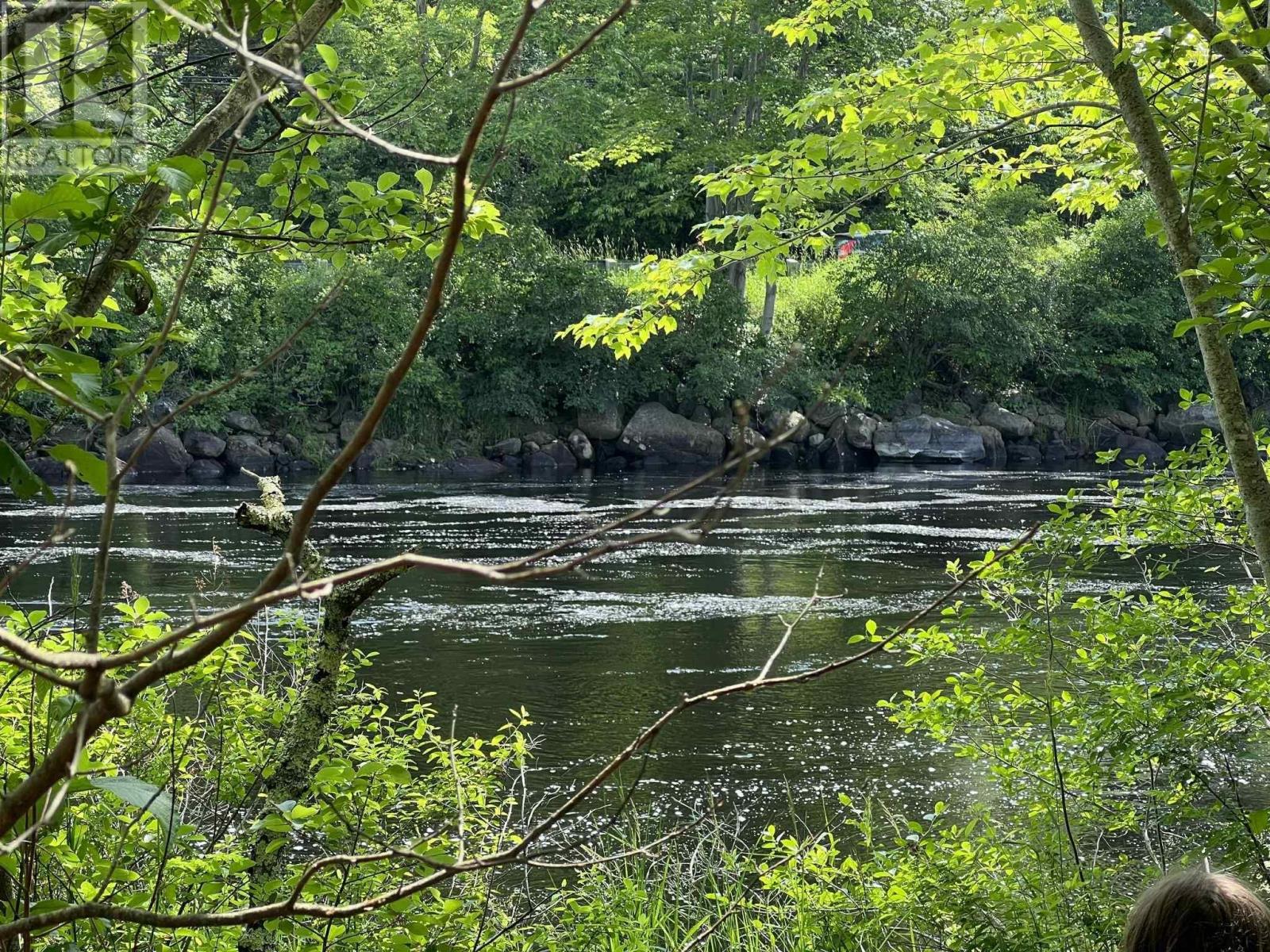 Wild Pear Island, Milton, Nova Scotia  B0T 1P0 - Photo 6 - 202514685