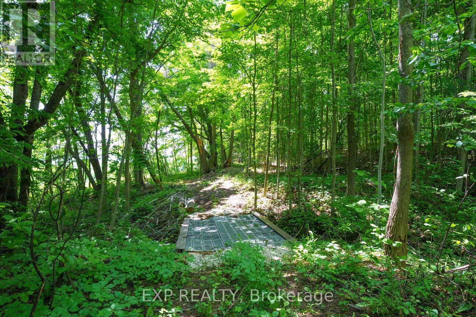 195718 Grey 7 Road, Grey Highlands, Ontario  N0C 1G0 - Photo 47 - X12225506