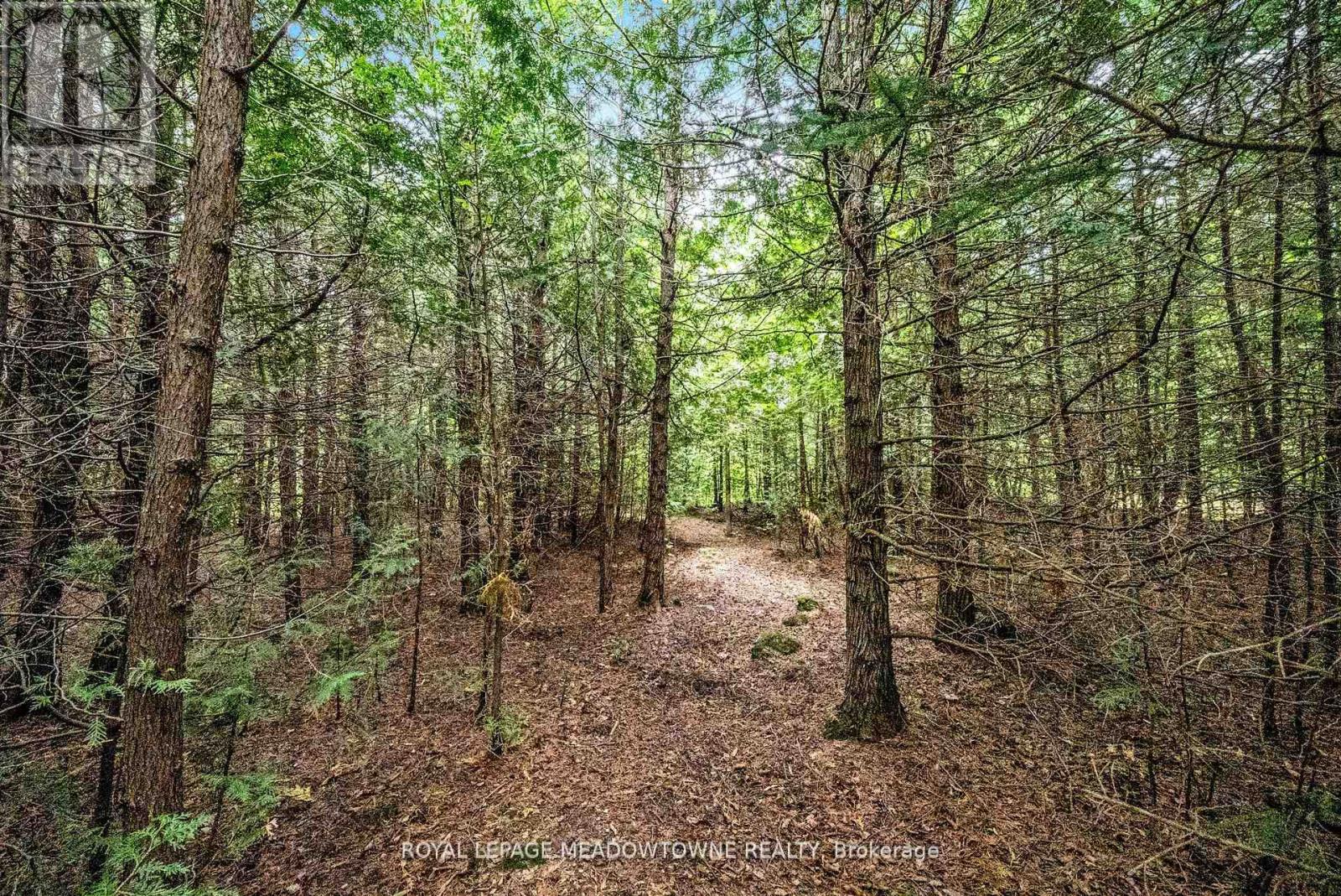 4911 Eighth Line, Erin, Ontario  L7G 4S4 - Photo 48 - X12225507