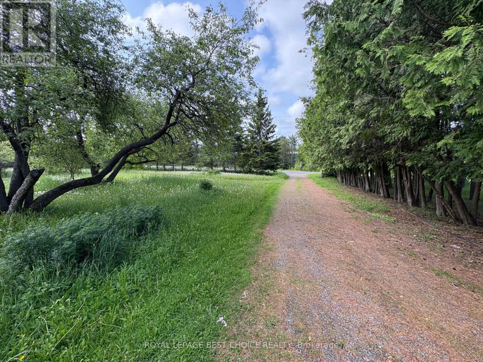 964253 Development Road, Harley, Ontario  P0J 1S0 - Photo 5 - T12225959