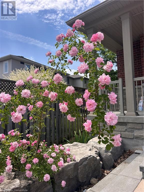 Property at 145 REDTAIL Street image 3