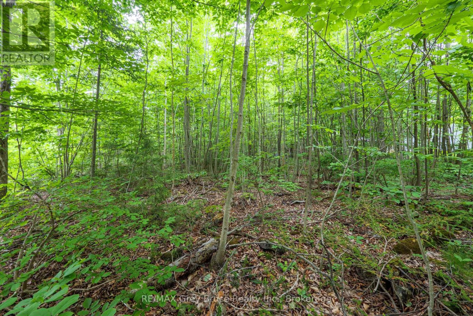 00 Parkside Avenue, South Bruce Peninsula, Ontario  N0H 2T0 - Photo 23 - X12226167