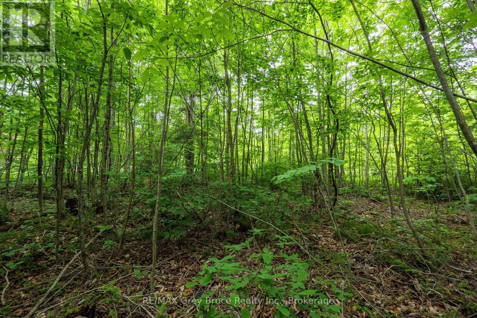00 Parkside Avenue, South Bruce Peninsula, Ontario  N0H 2T0 - Photo 24 - X12226167
