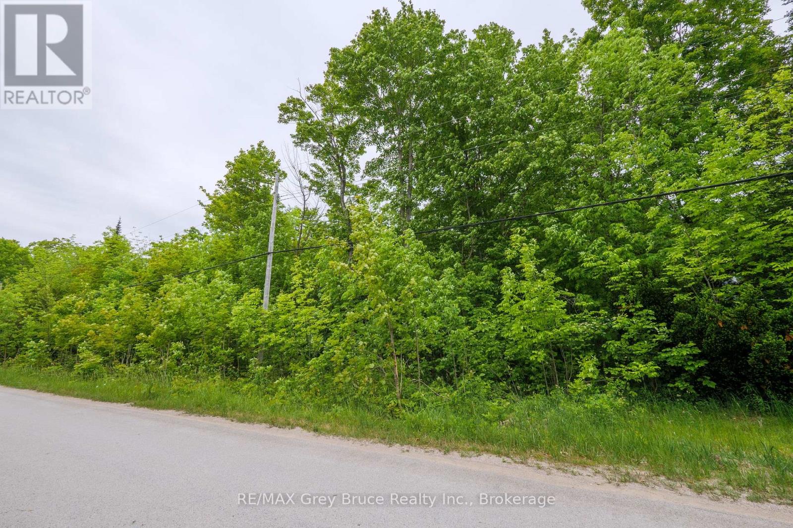 00 Parkside Avenue, South Bruce Peninsula, Ontario  N0H 2T0 - Photo 28 - X12226167