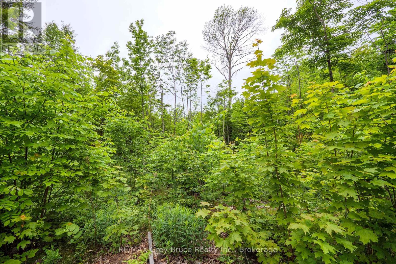 0 Parkside Avenue, South Bruce Peninsula, Ontario  N0H 2T0 - Photo 30 - X12226185