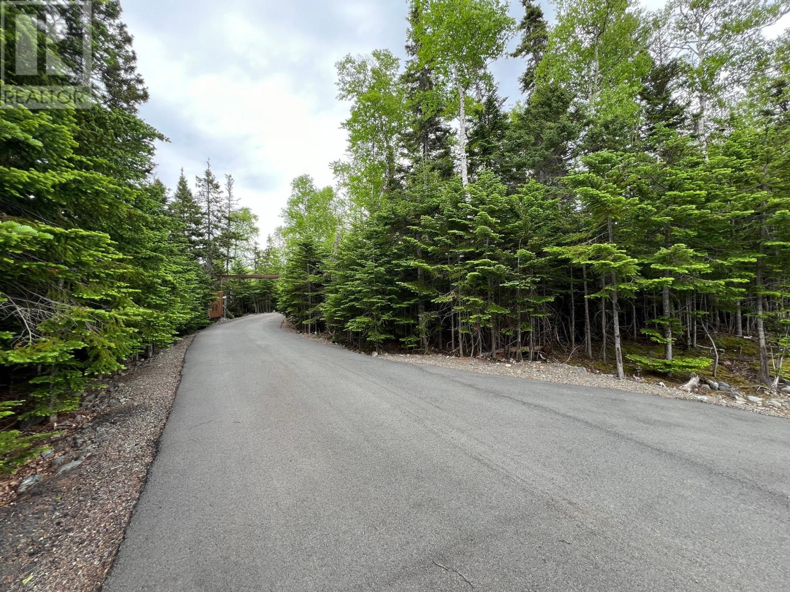 43 Pauls Lake Road, Badger, Newfoundland & Labrador  A0H 1A0 - Photo 12 - 1286445