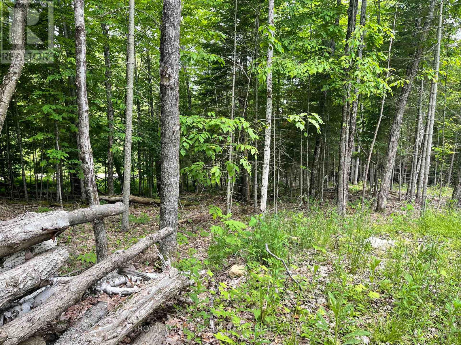 Property at 1496 SOUTH BAPTISTE LK ROAD image 4