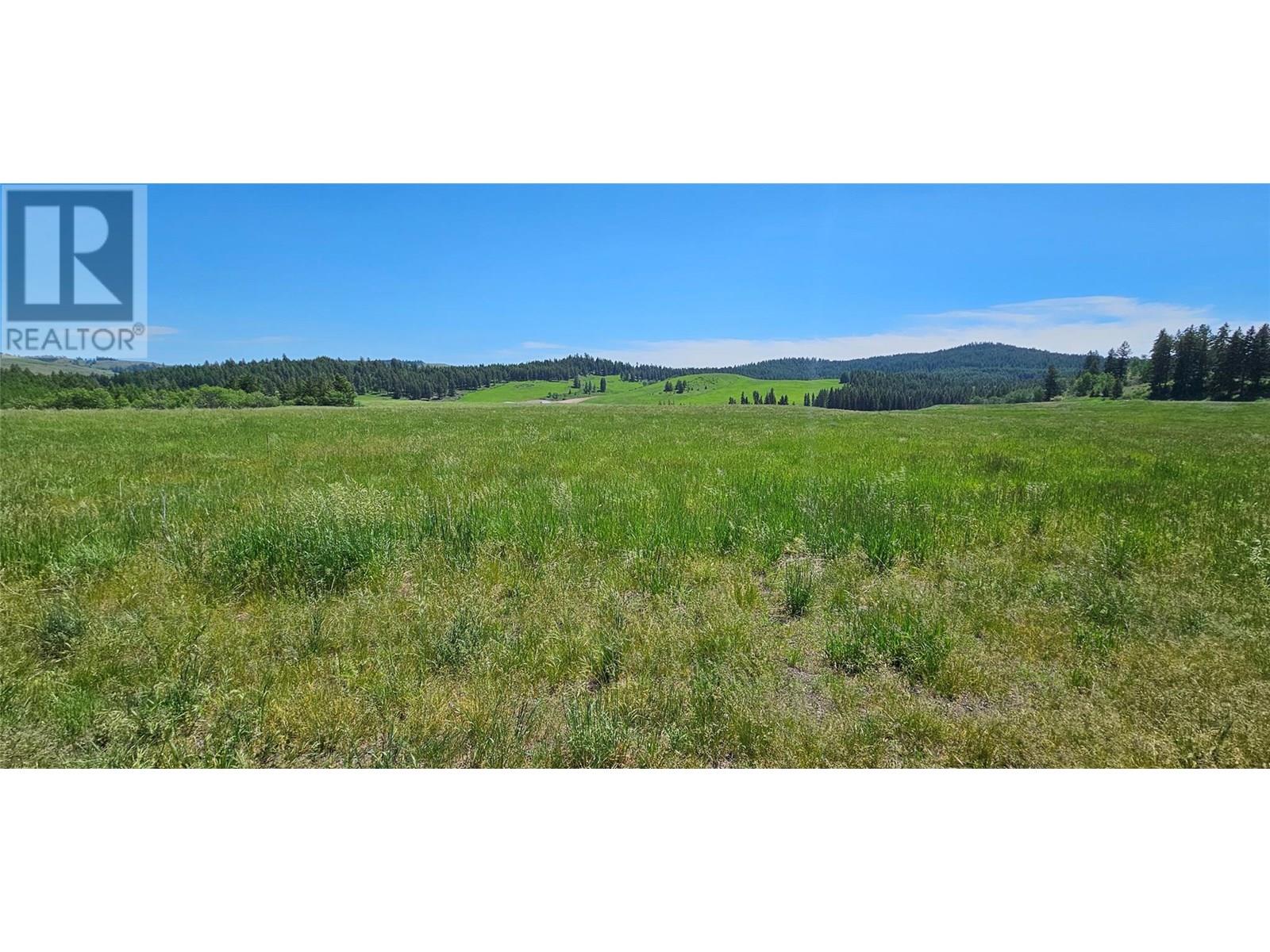 Plan 34365 Rock Creek Bridesville Road Lot# B, Bridesville, British Columbia  V0H 1Y0 - Photo 24 - 10352347