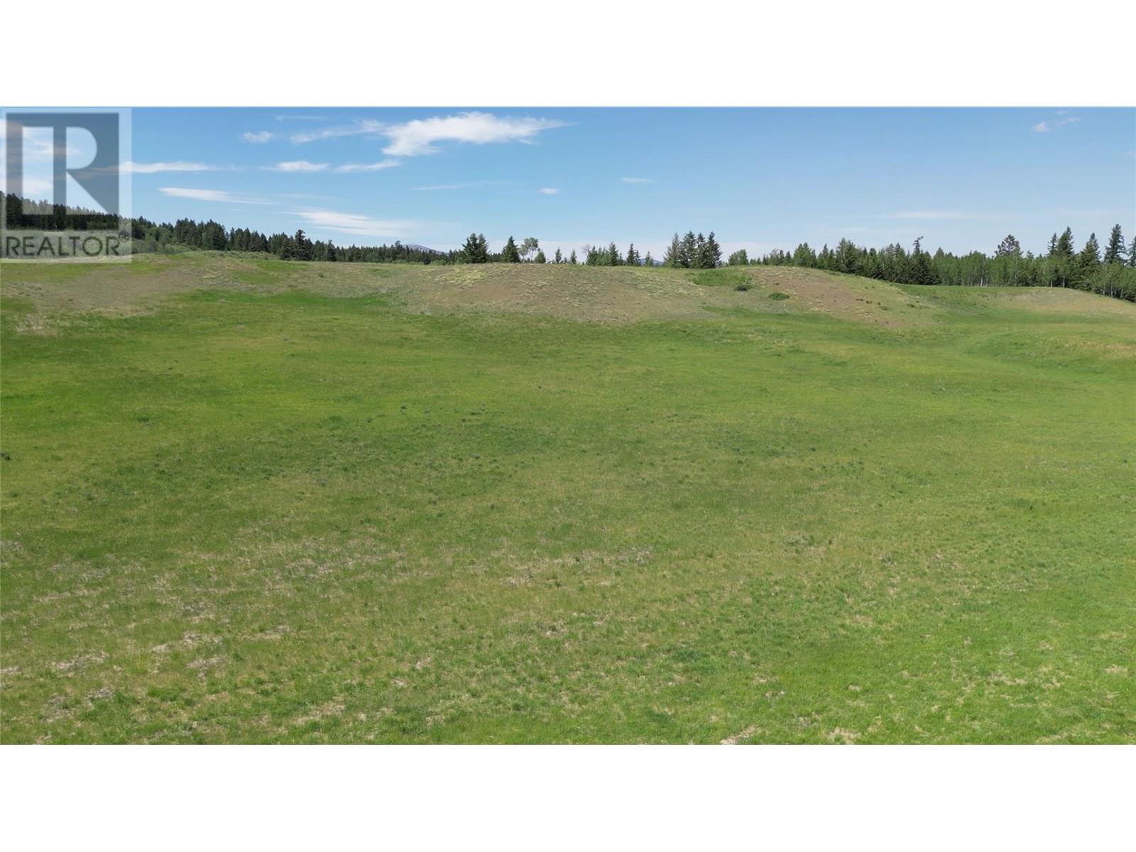 Plan 34365 Rock Creek Bridesville Road Lot# B, Bridesville, British Columbia  V0H 1Y0 - Photo 75 - 10352347