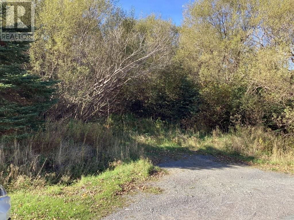 Property at 22-28 Parson's Road image 1