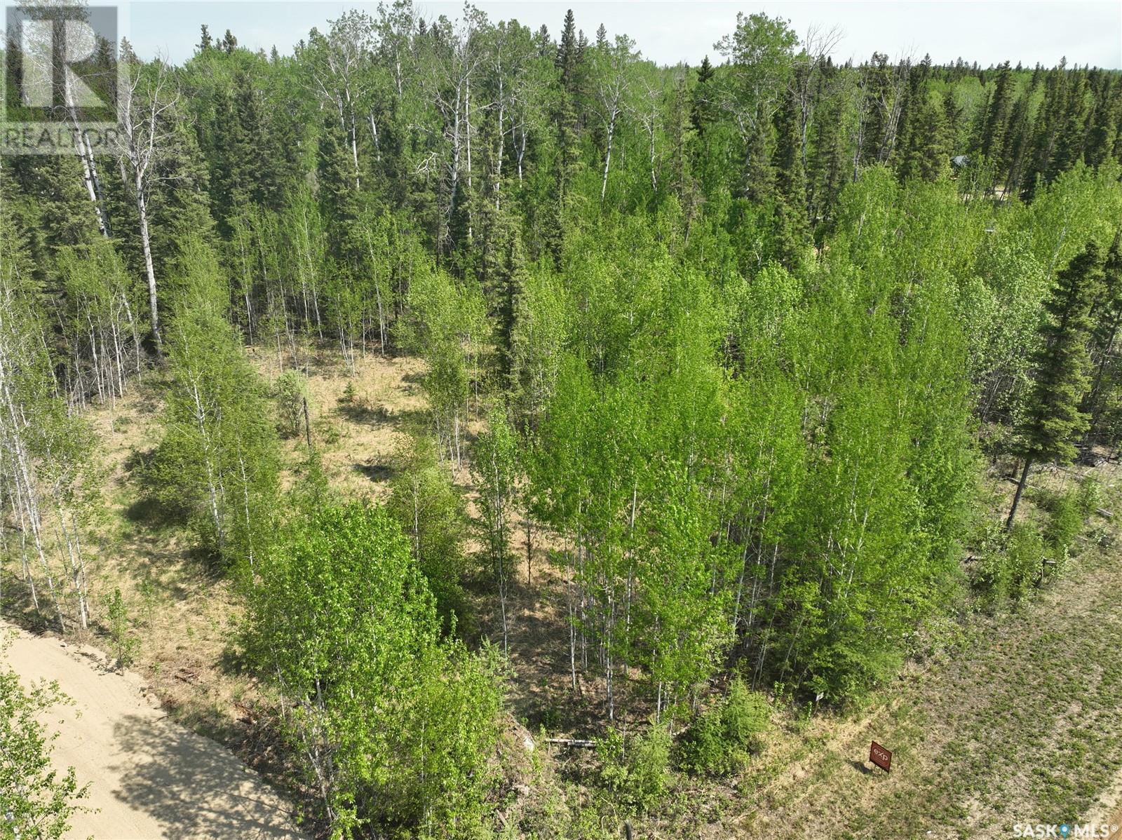 6 Roy Stevens Bay, Candle Lake, Saskatchewan  S0J 3E0 - Photo 6 - SK009731
