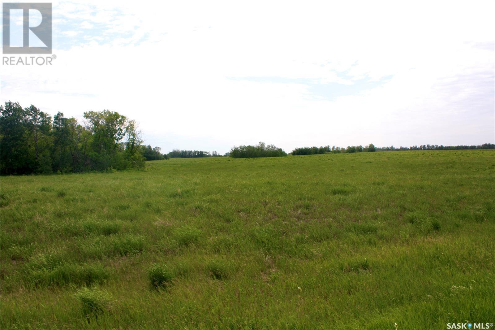 Bewer Land Close To Saskatoon, Corman Park Rm No. 344, Saskatchewan  S7K 3J8 - Photo 13 - SK999148