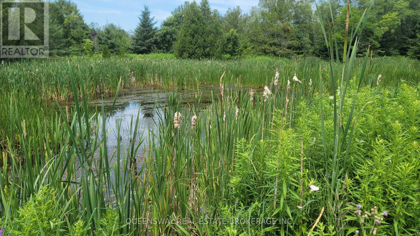 Block73 Shawano Drive, Alnwick/haldimand, Ontario  K0K 2G0 - Photo 3 - X12226548