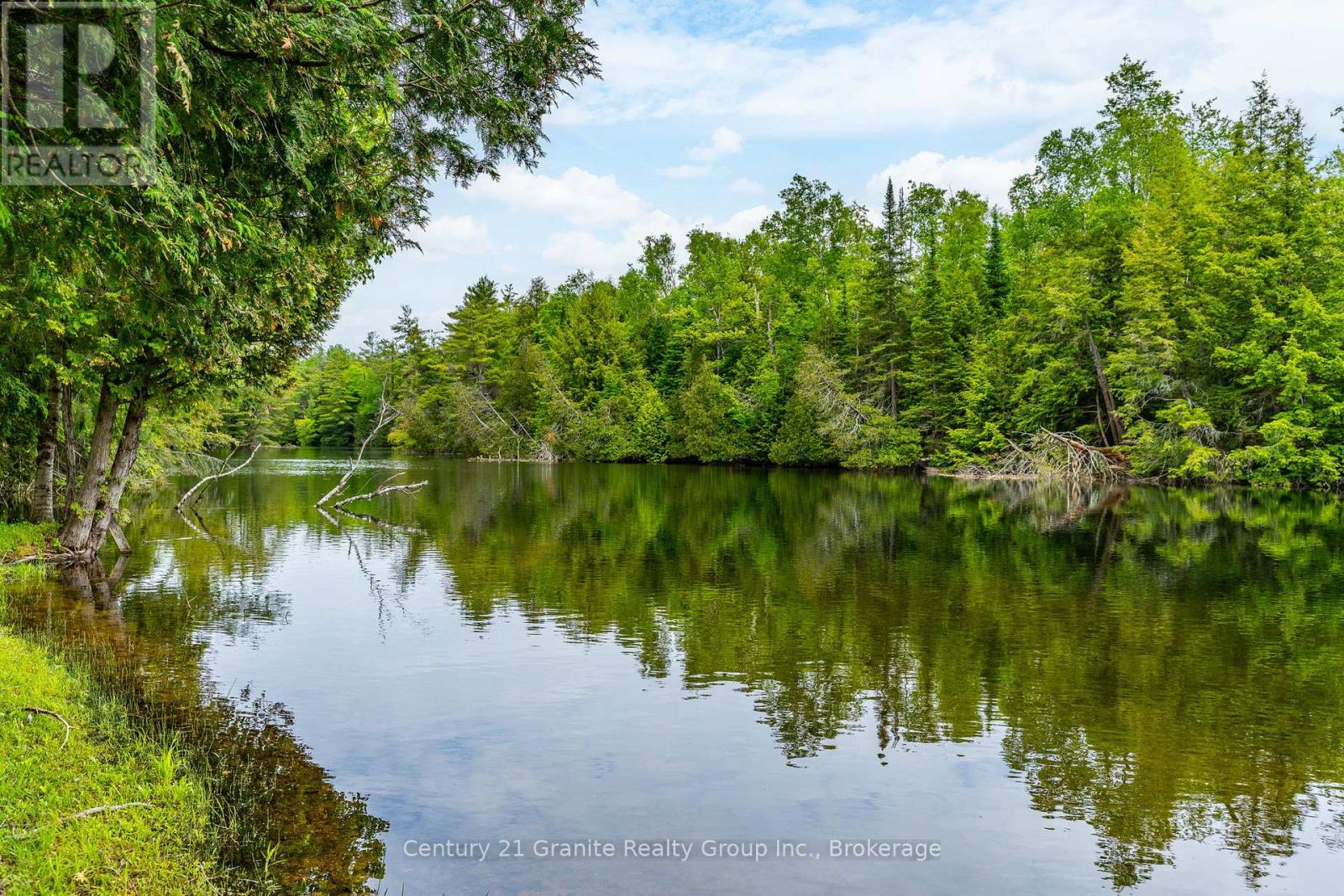 86 Boyce Trail, Kawartha Lakes, Ontario  K0M 2L0 - Photo 40 - X12226951