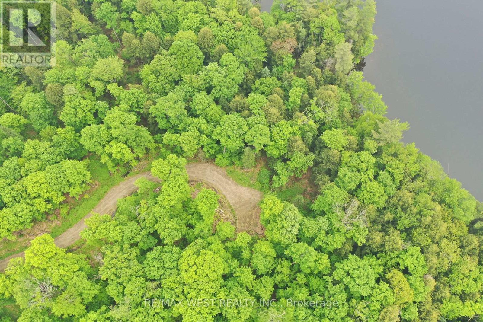 1180 Heney Lake Road, Lake Of Bays, Ontario  P0B 1M0 - Photo 3 - X12165276