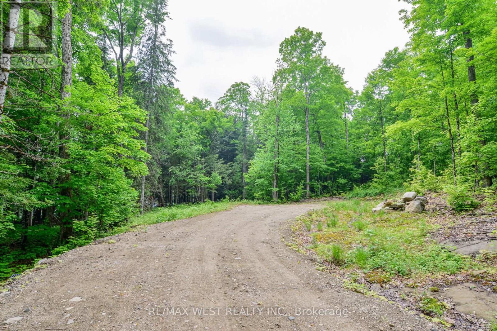 1180 Heney Lake Road, Lake Of Bays, Ontario  P0B 1M0 - Photo 5 - X12165276