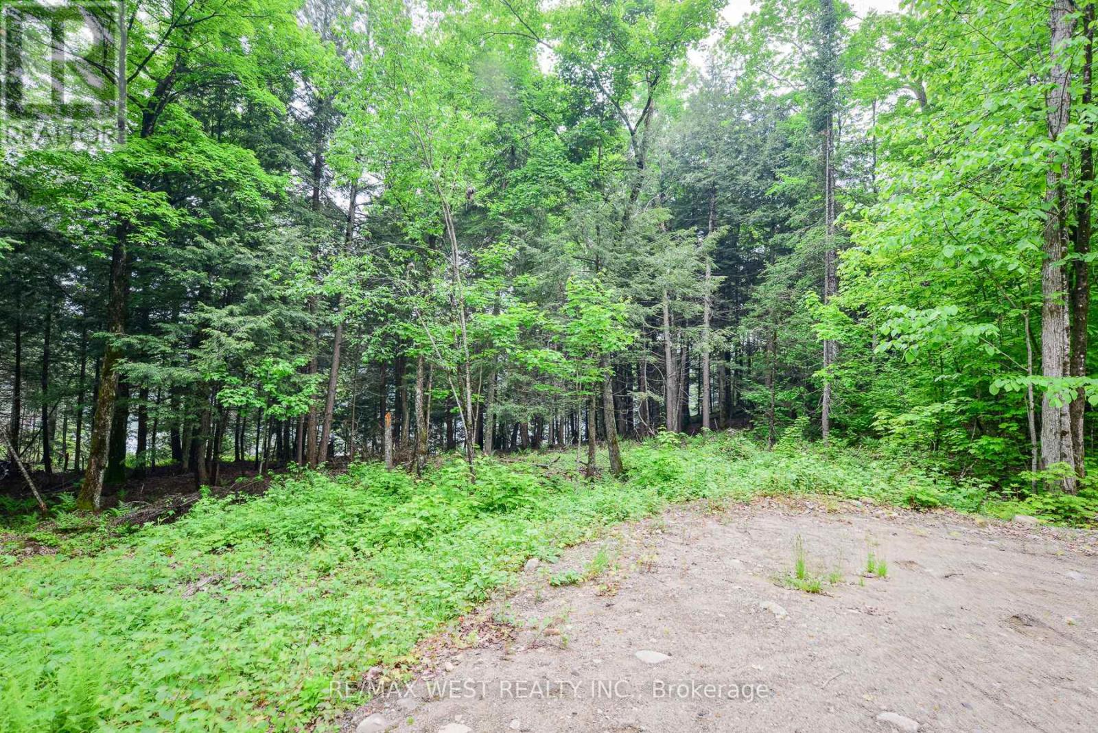 1180 Heney Lake Road, Lake Of Bays, Ontario  P0B 1M0 - Photo 7 - X12165276