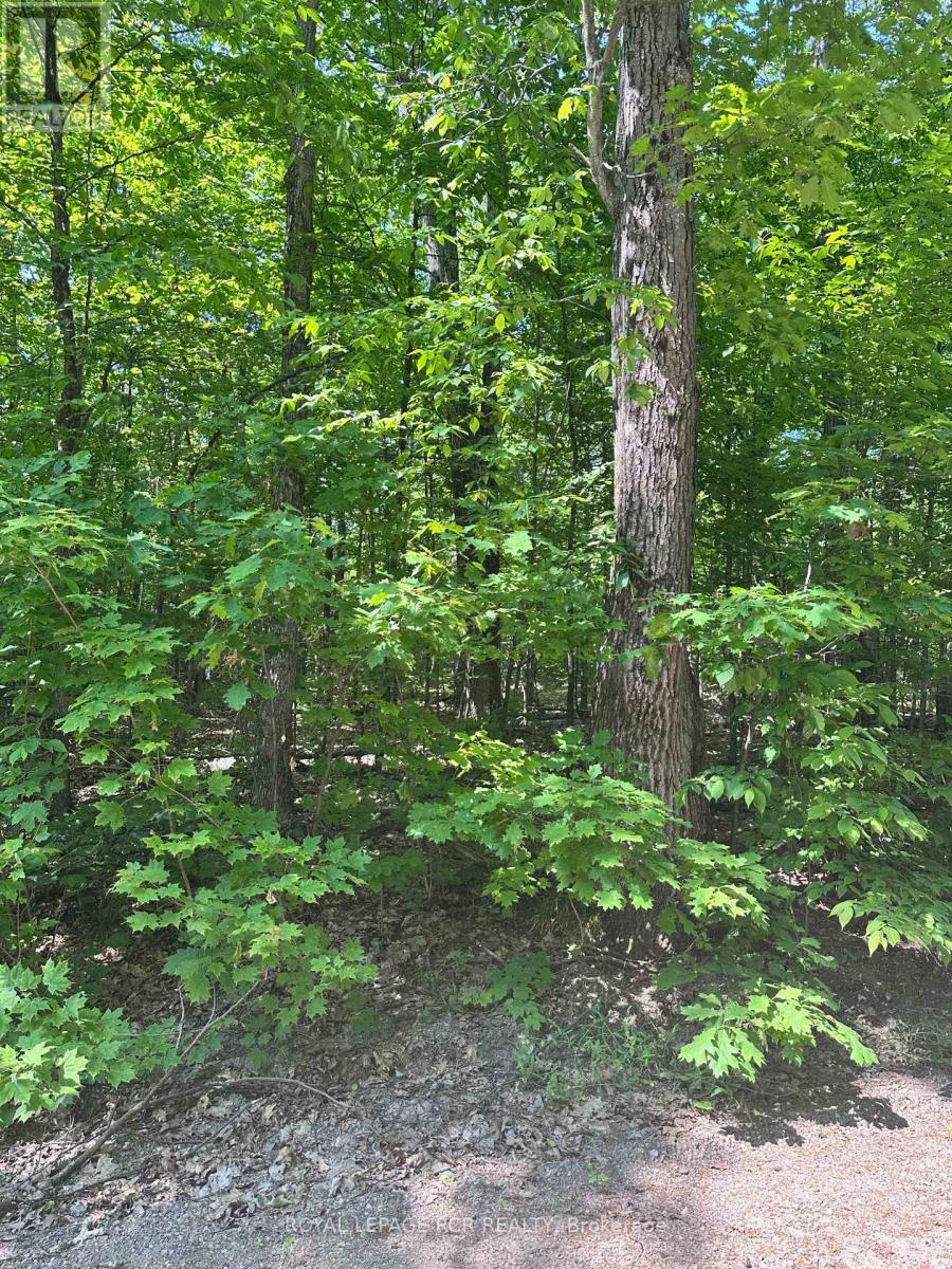 1527 Madill Road, Highlands East (Monmouth), Ontario  K0M 1R0 - Photo 13 - X12214957