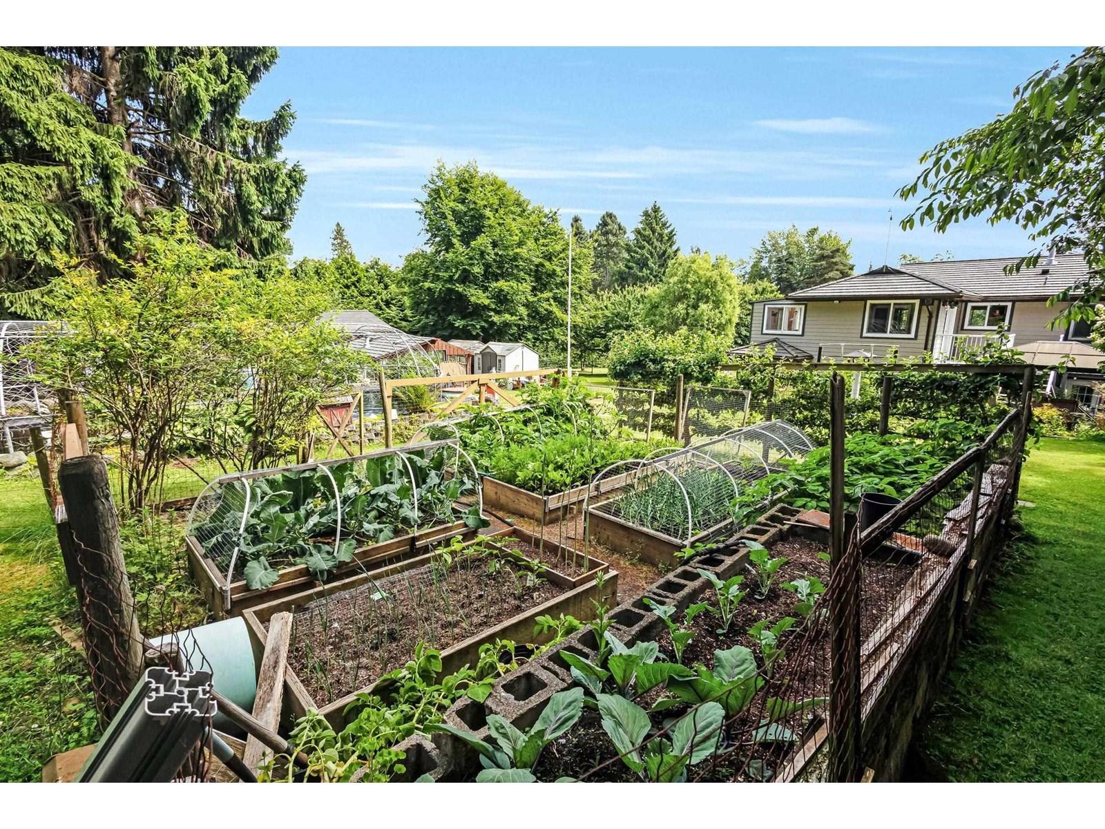 18073 19a Avenue, Surrey, British Columbia V3Z 9V2 - Photo 37 - R3010403