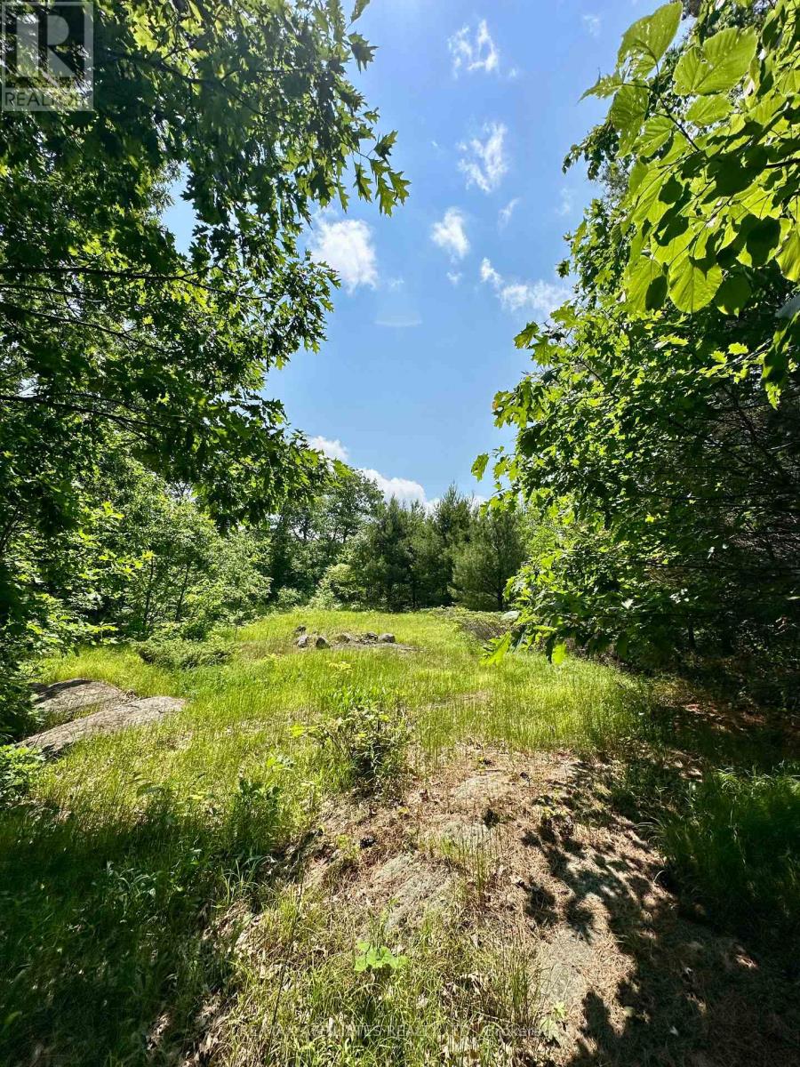 938 Crow Lake Road, Frontenac (Frontenac Centre), Ontario  K0H 2B0 - Photo 10 - X12227025
