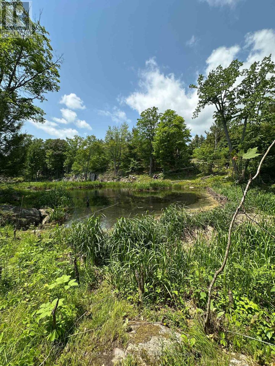 938 Crow Lake Road, Frontenac (Frontenac Centre), Ontario  K0H 2B0 - Photo 2 - X12227025
