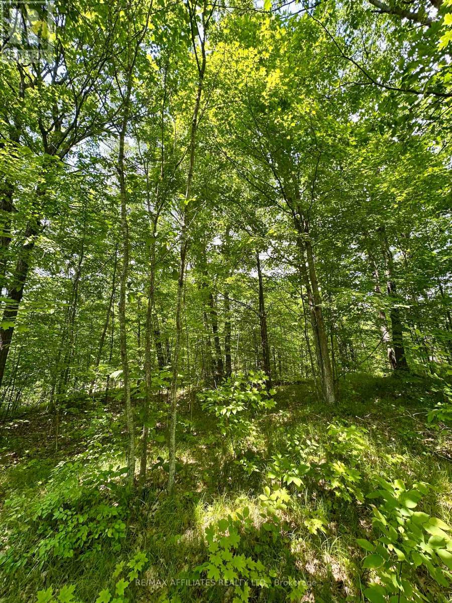 938 Crow Lake Road, Frontenac (Frontenac Centre), Ontario  K0H 2B0 - Photo 6 - X12227025
