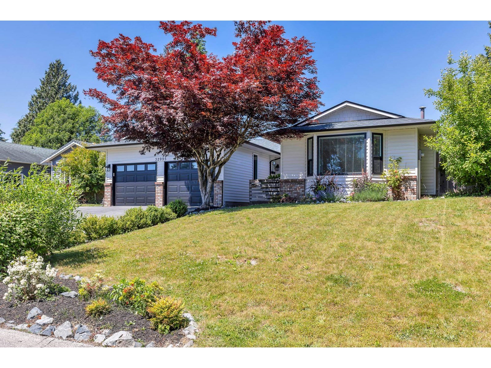 Property at 32995 WHIDDEN AVENUE image 3