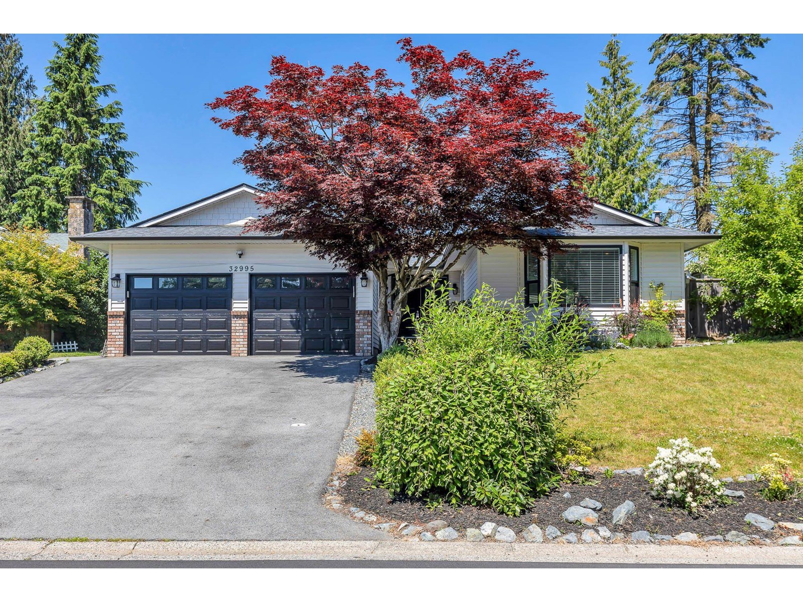 Property at 32995 WHIDDEN AVENUE image 1
