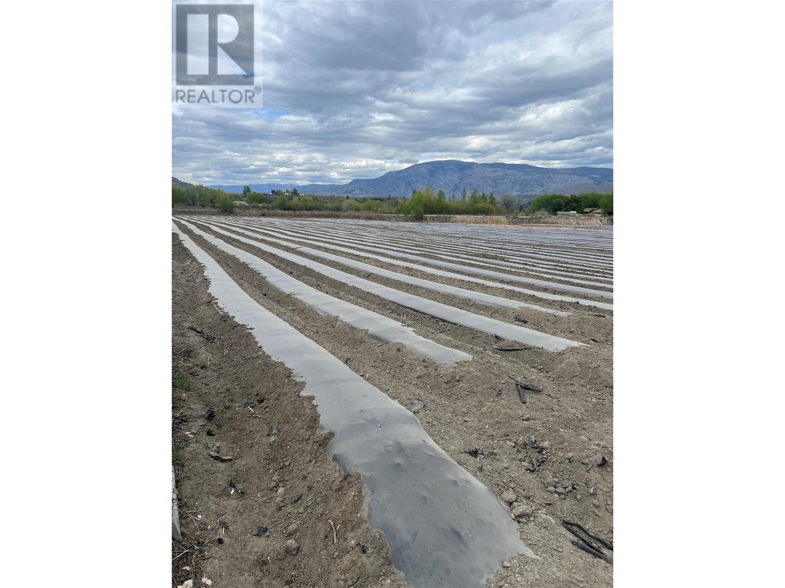 292 9 Road, Oliver photo 6