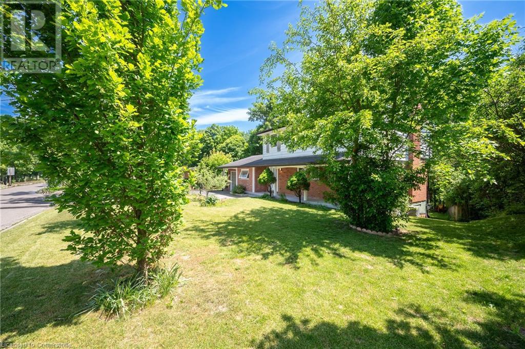 Property at 85 ROBINHOOD Drive image 3