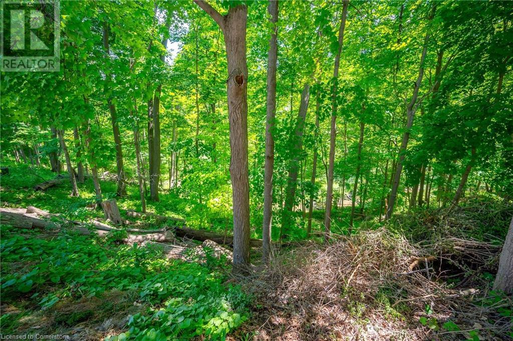 85 Robinhood Drive, Dundas, Ontario  L9H 4G2 - Photo 37 - 40741472