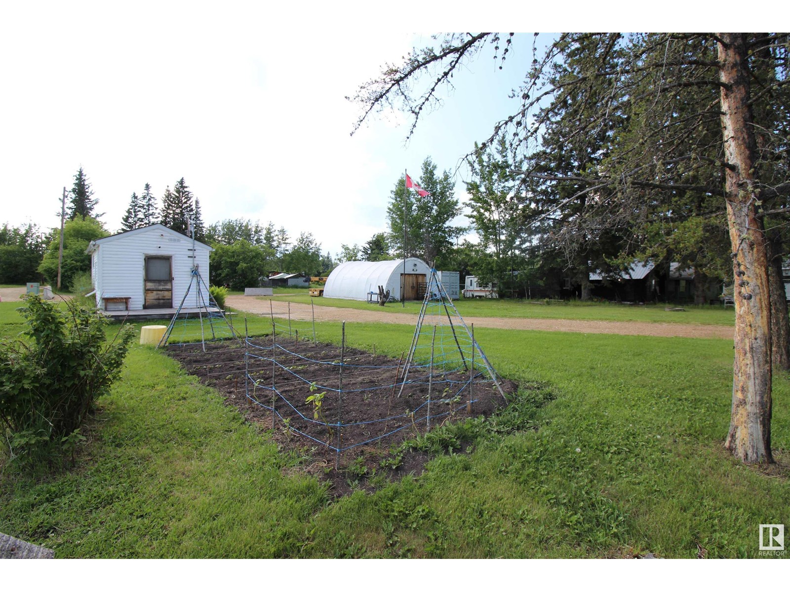 6 1st Street, Flatbush, Alberta  T0G 0Z0 - Photo 3 - E4442832