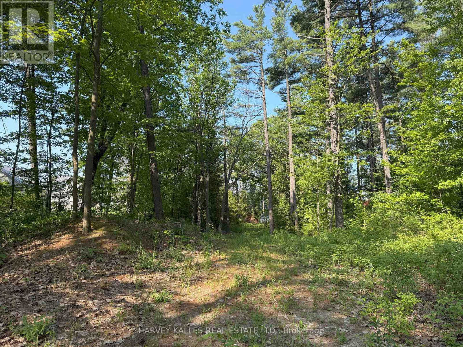 1716 Tiny Beaches Road S, Tiny, Ontario  L9M 0H2 - Photo 6 - S12227675