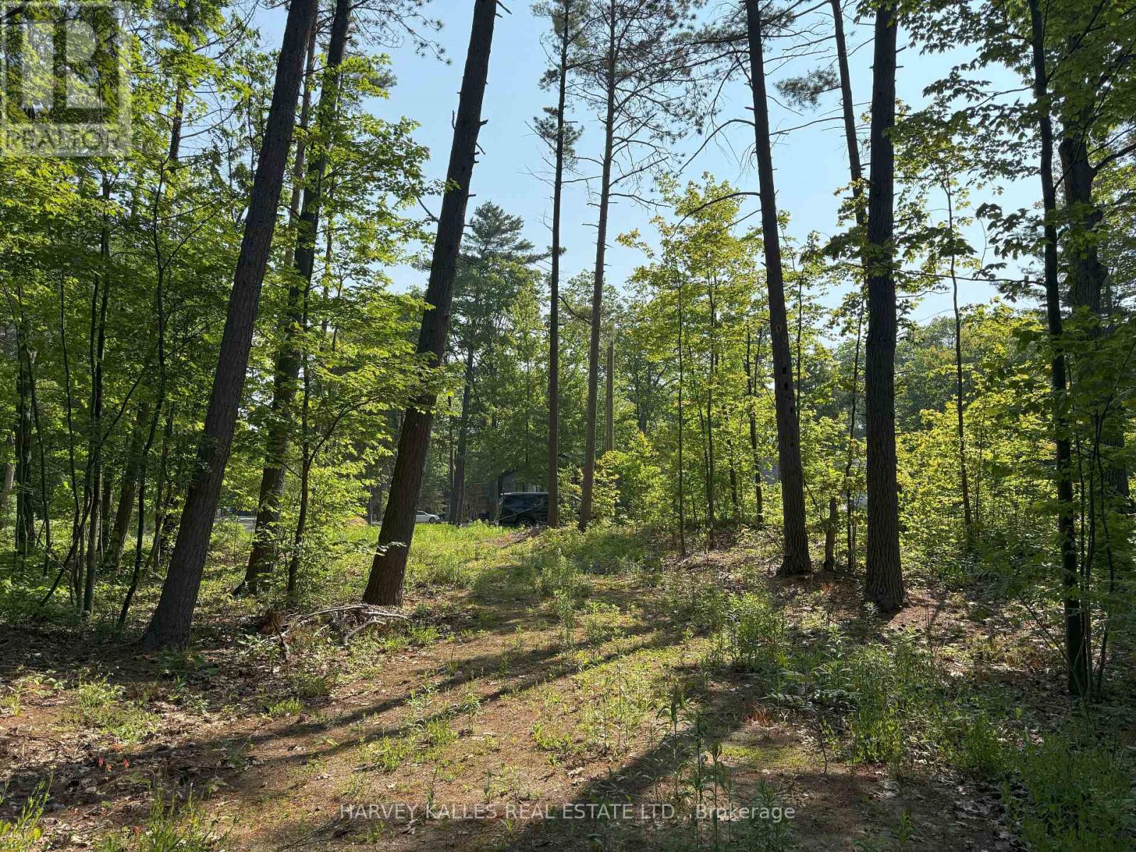 1716 Tiny Beaches Road S, Tiny, Ontario  L9M 0H2 - Photo 7 - S12227675