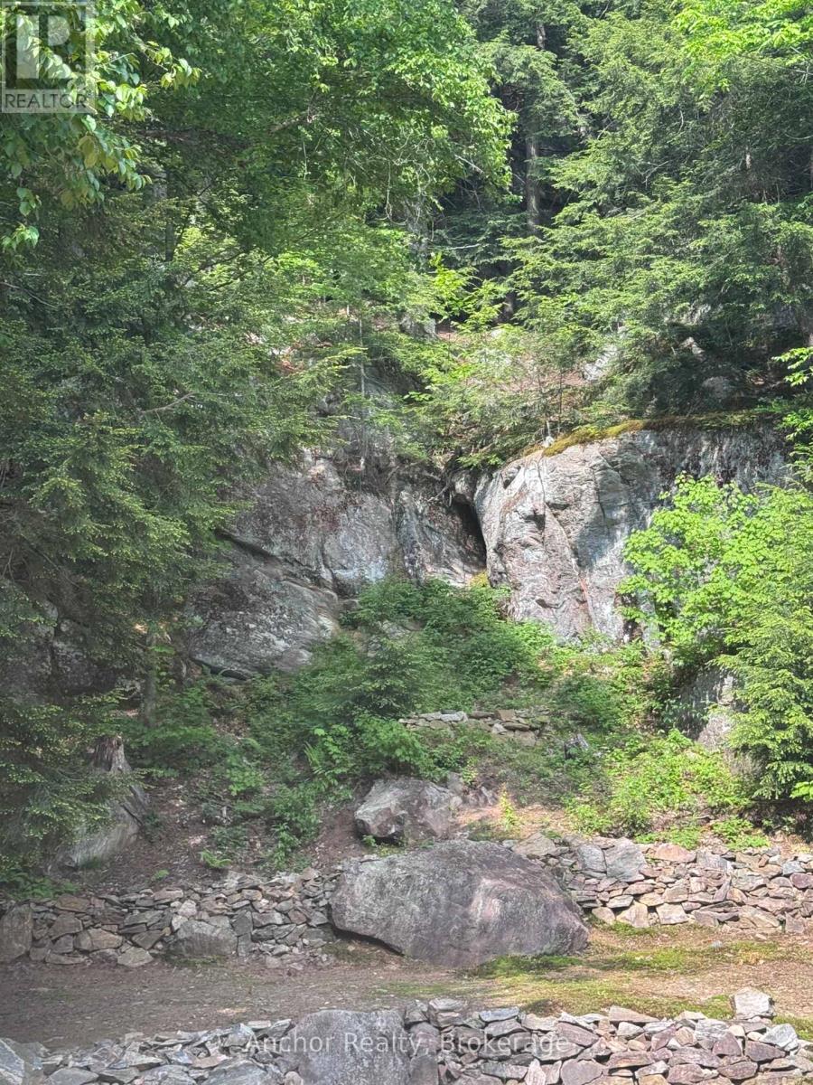 10469 Little Hawk Lake, Algonquin Highlands, Ontario  K0M 1S0 - Photo 7 - X12227784