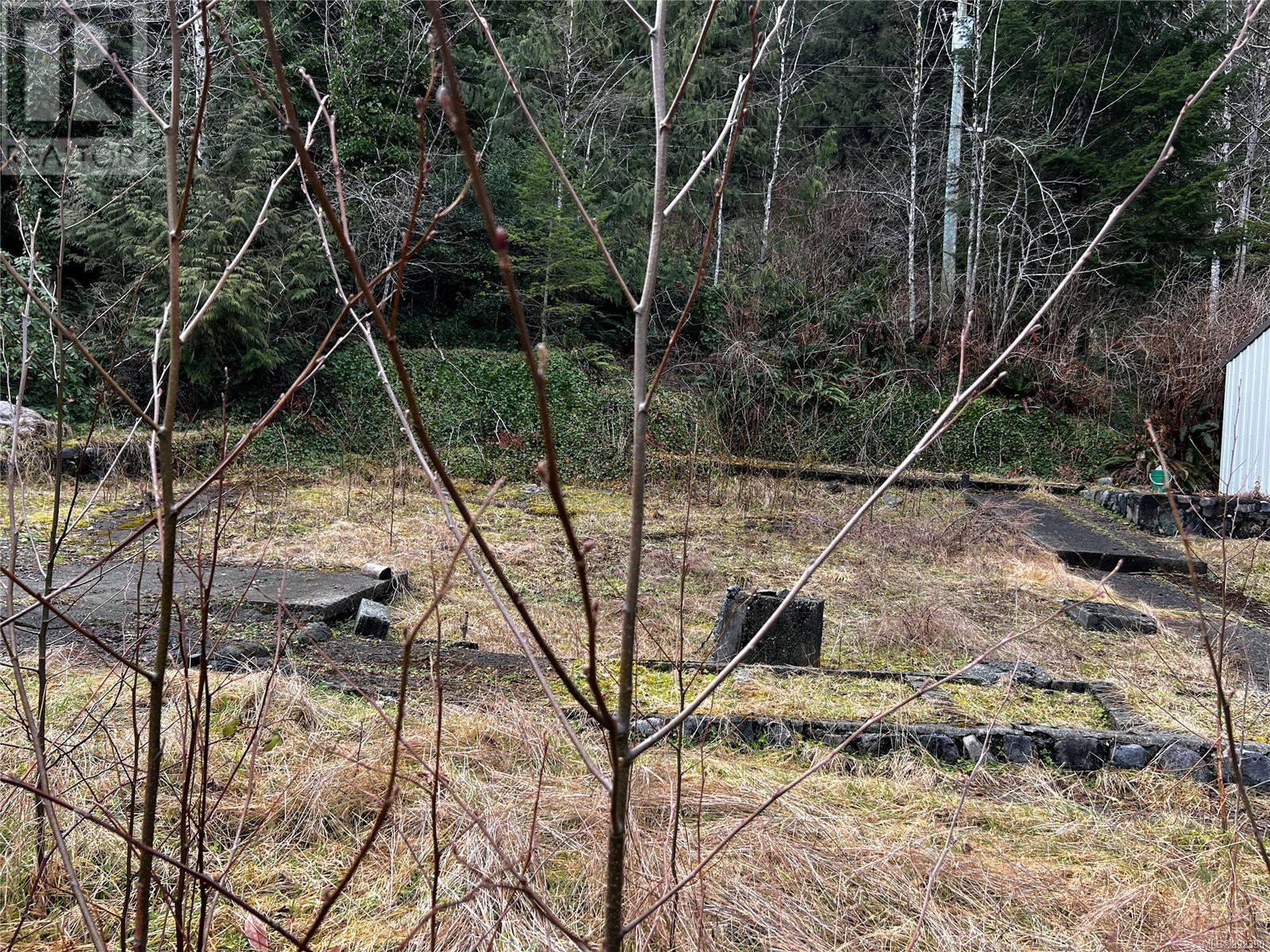854 Maquinna Dr S, Tahsis, British Columbia  V0P 1X0 - Photo 4 - 992390
