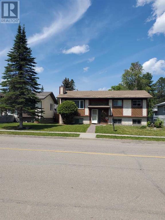 Property at 4730 9 Avenue image 1