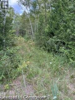 Pt Lot 7 West Ipperwash Road, Lambton Shores (Munic), Ontario  N0N 1J0 - Photo 10 - 40742495