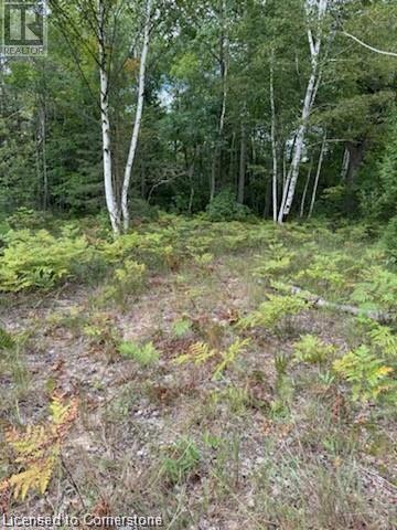 Pt Lot 7 West Ipperwash Road, Lambton Shores (Munic), Ontario  N0N 1J0 - Photo 12 - 40742495