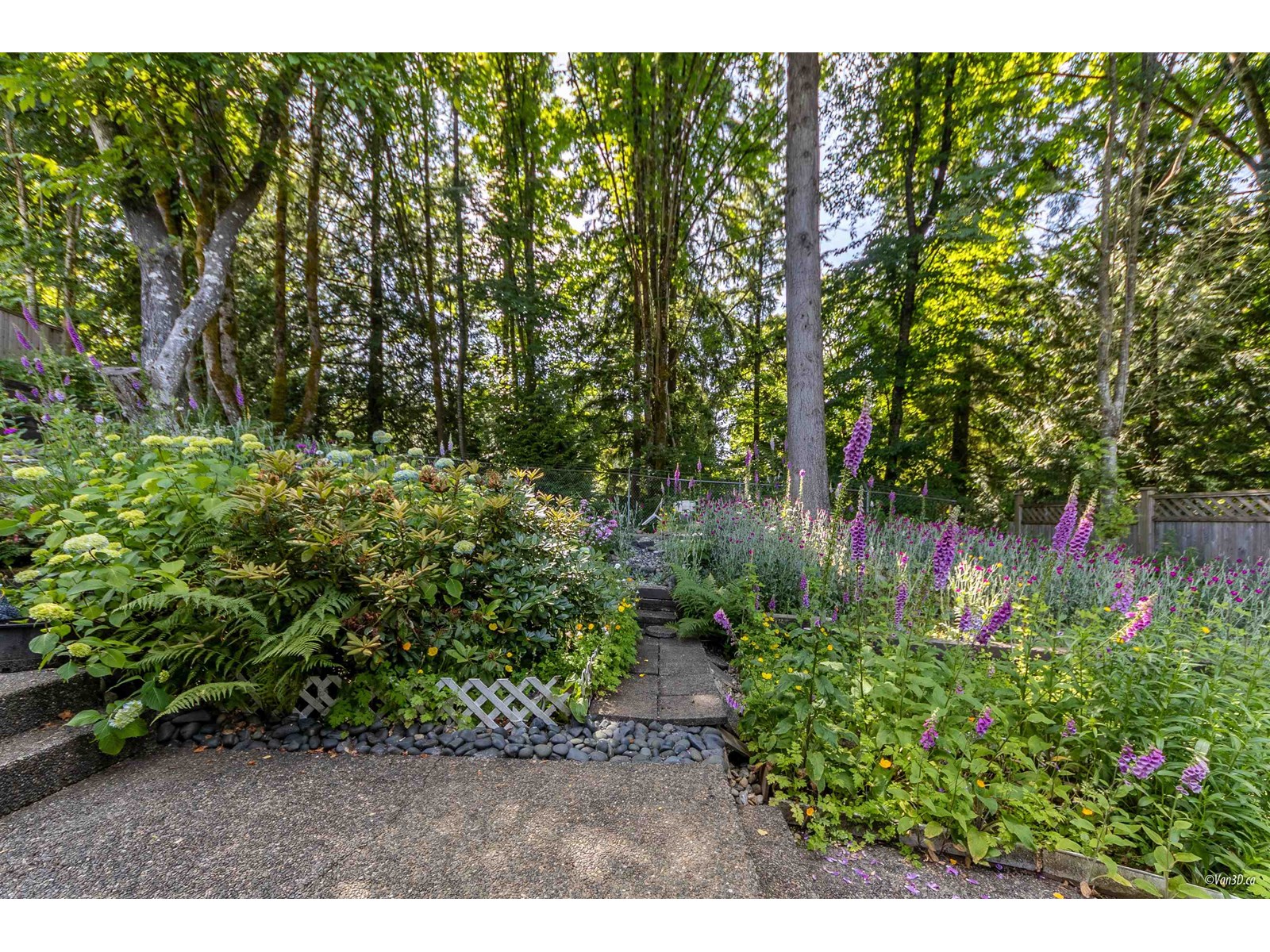 14534 St. Andrews Drive, Surrey, British Columbia  V3R 0W5 - Photo 21 - R3015551