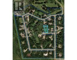 6 Roy Stevens BAY