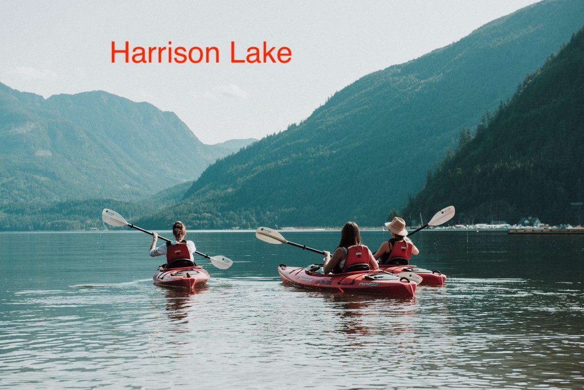 44175 Bayview Road, Mission, British Columbia  V0M 1N0 - Photo 6 - R3009443