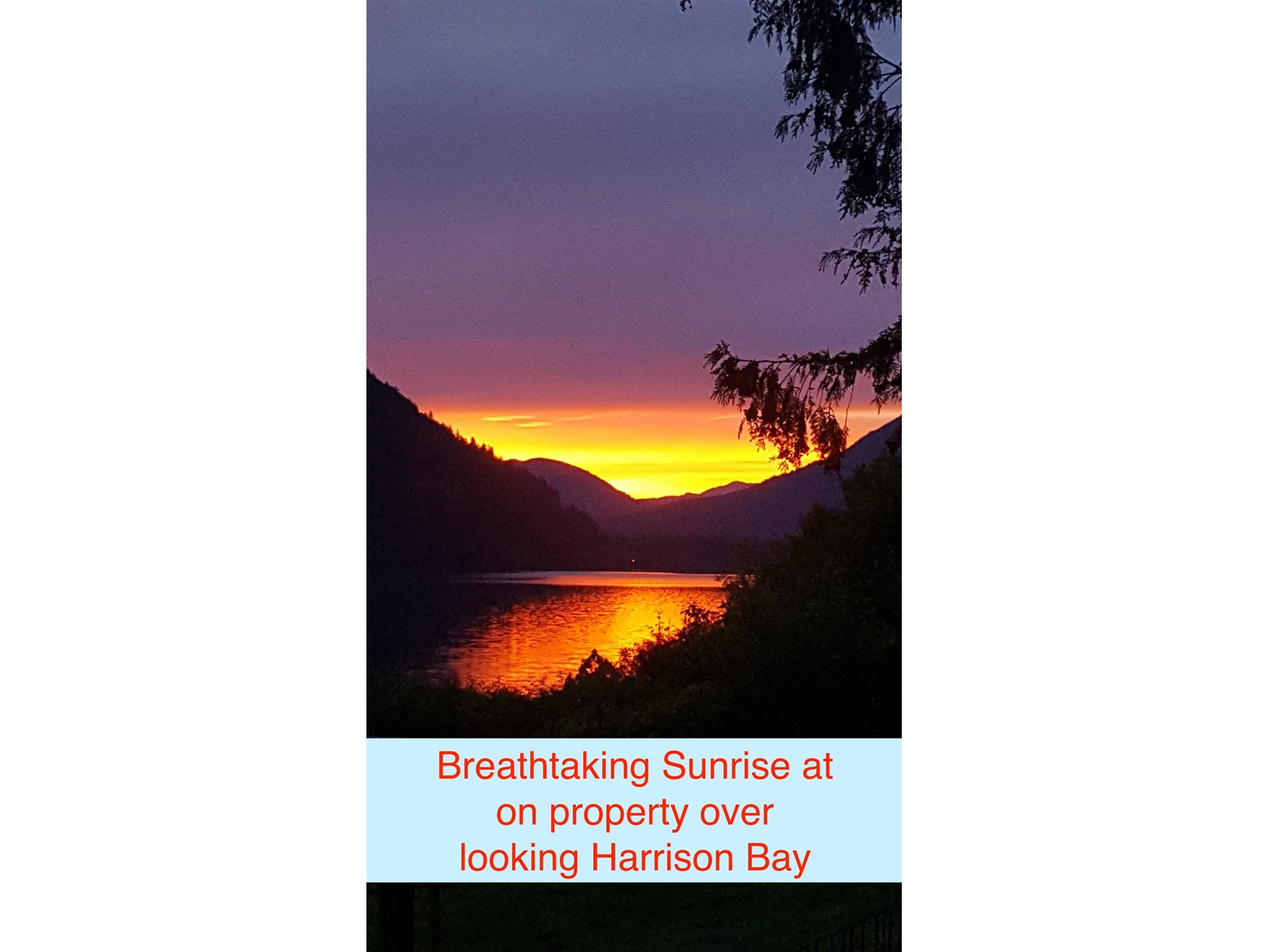 44175 Bayview Road, Mission, British Columbia  V0M 1N0 - Photo 4 - R3009443