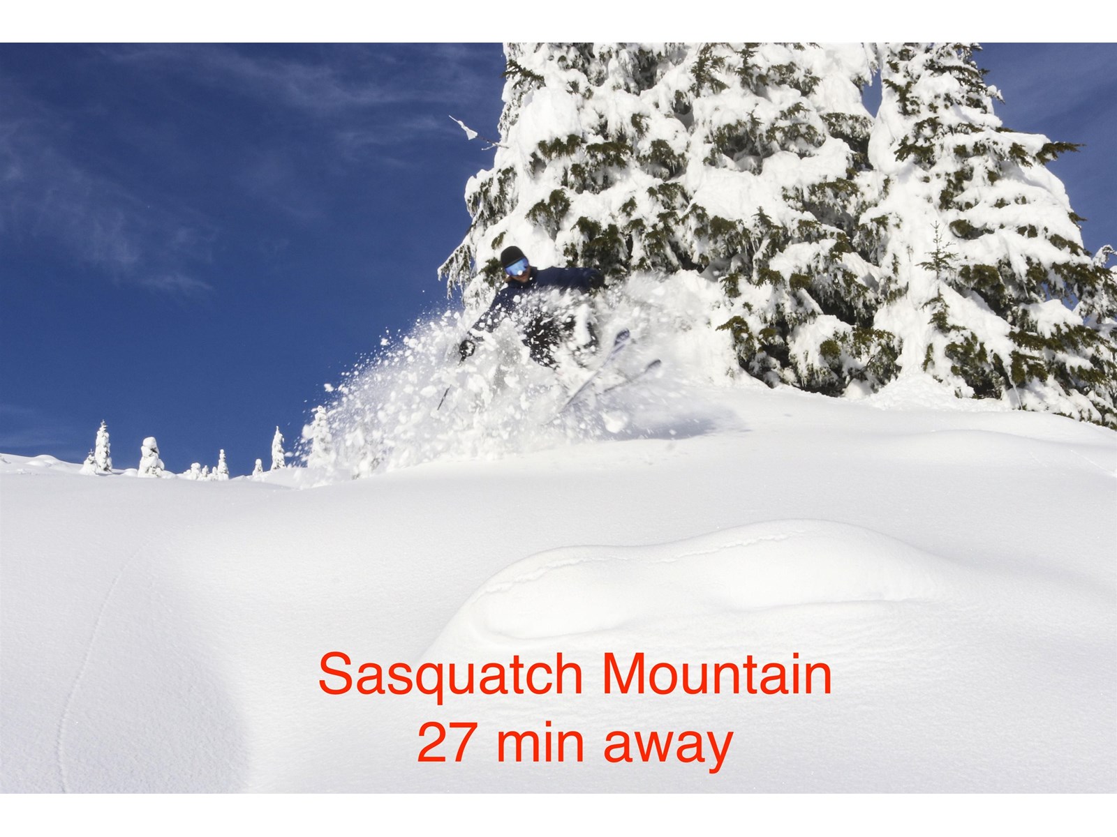 44175 Bayview Road, Mission, British Columbia  V0M 1N0 - Photo 22 - R3009443