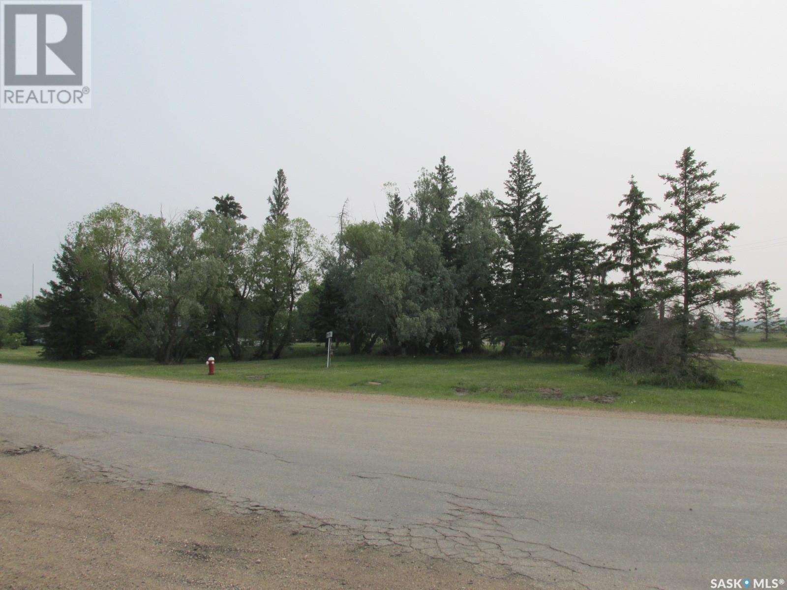 660 Park Road, Zenon Park, Saskatchewan  S0E 1W0 - Photo 41 - SK009503