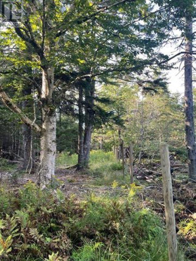 Lot A Arlington Road, Arlington West, Nova Scotia  B0P 1R0 - Photo 12 - 202507265